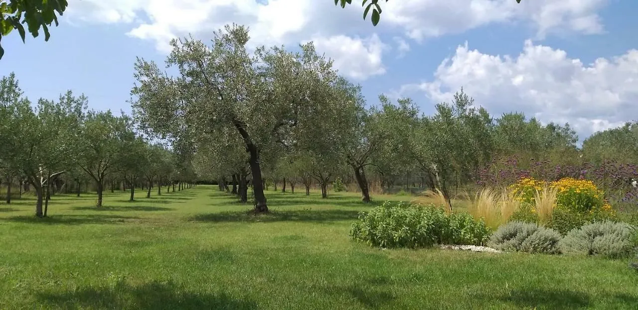Holiday Home Ulika Fažana